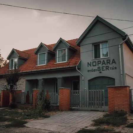 Nopara Gyogysertar Apartman, Soerfozde, Bisztro - Petofi Utca 29 * Tiszafured